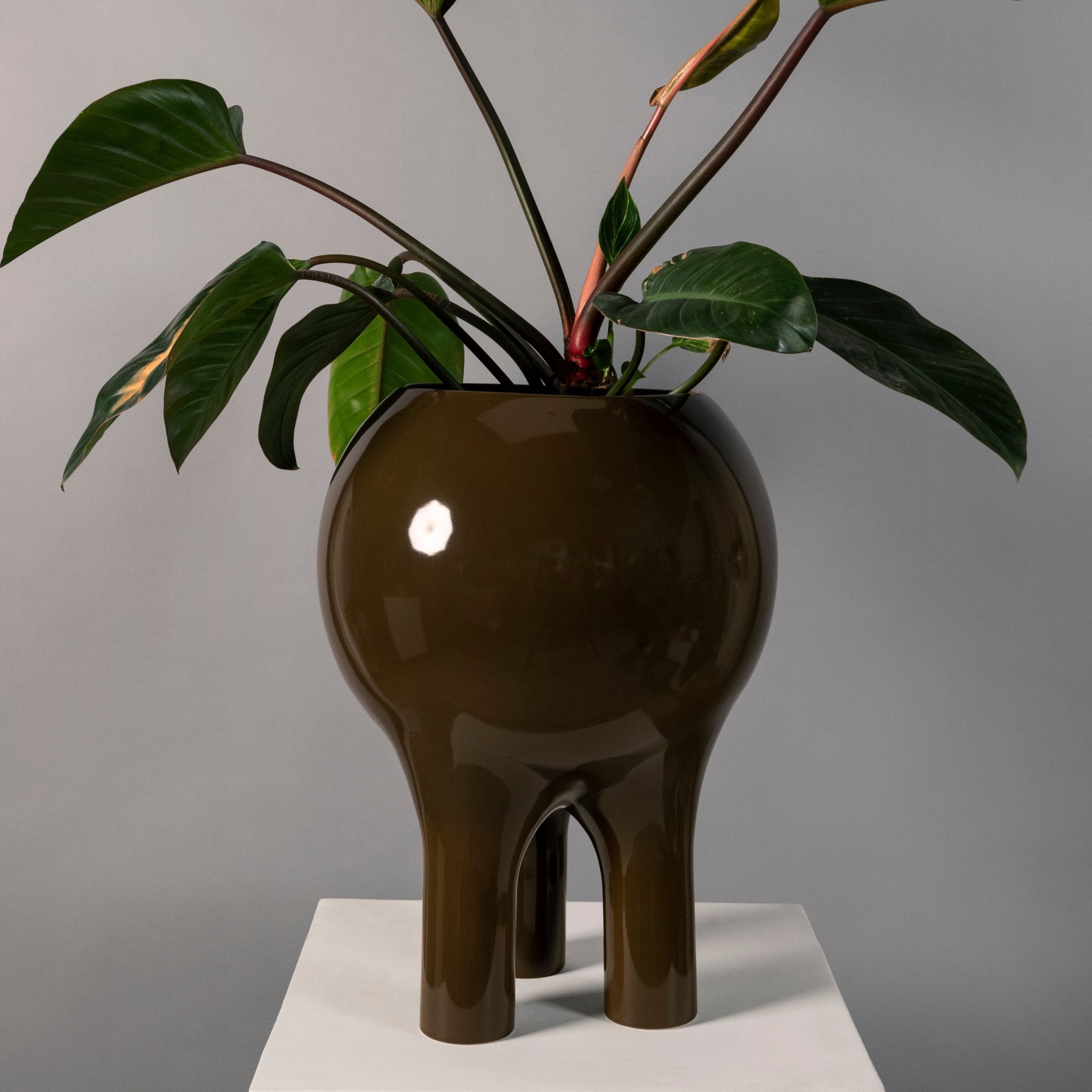 gloss plant pots Gloss Cocoa Planter 22" x 16"