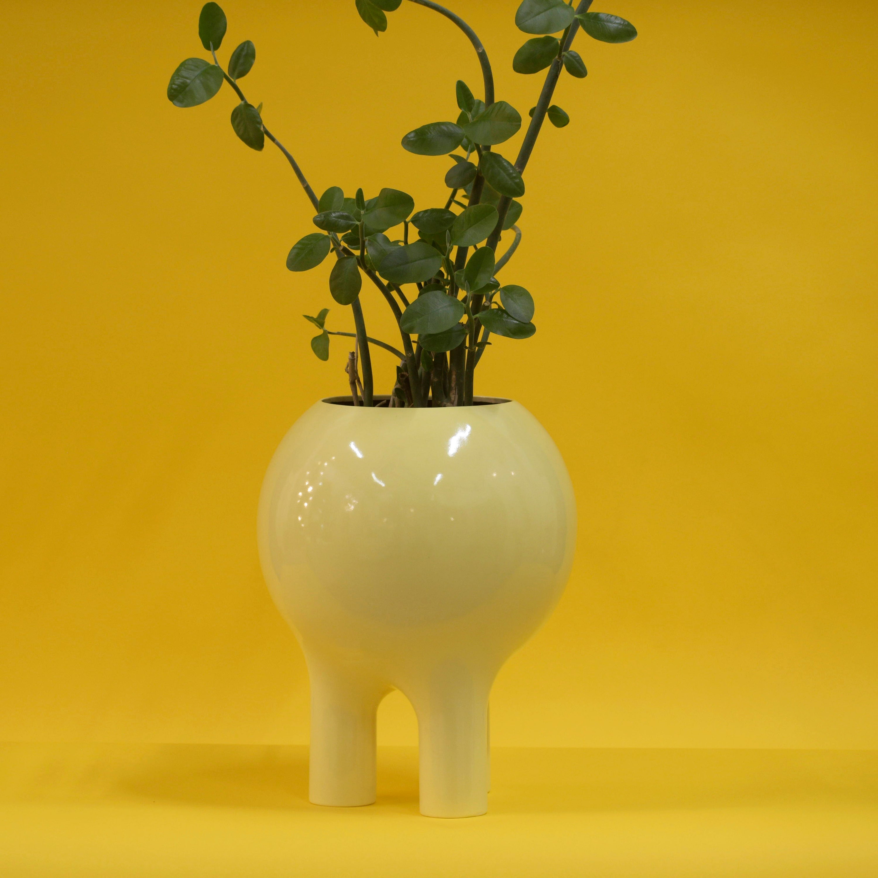 Gloss Butter Yellow Planter 16" x 12"