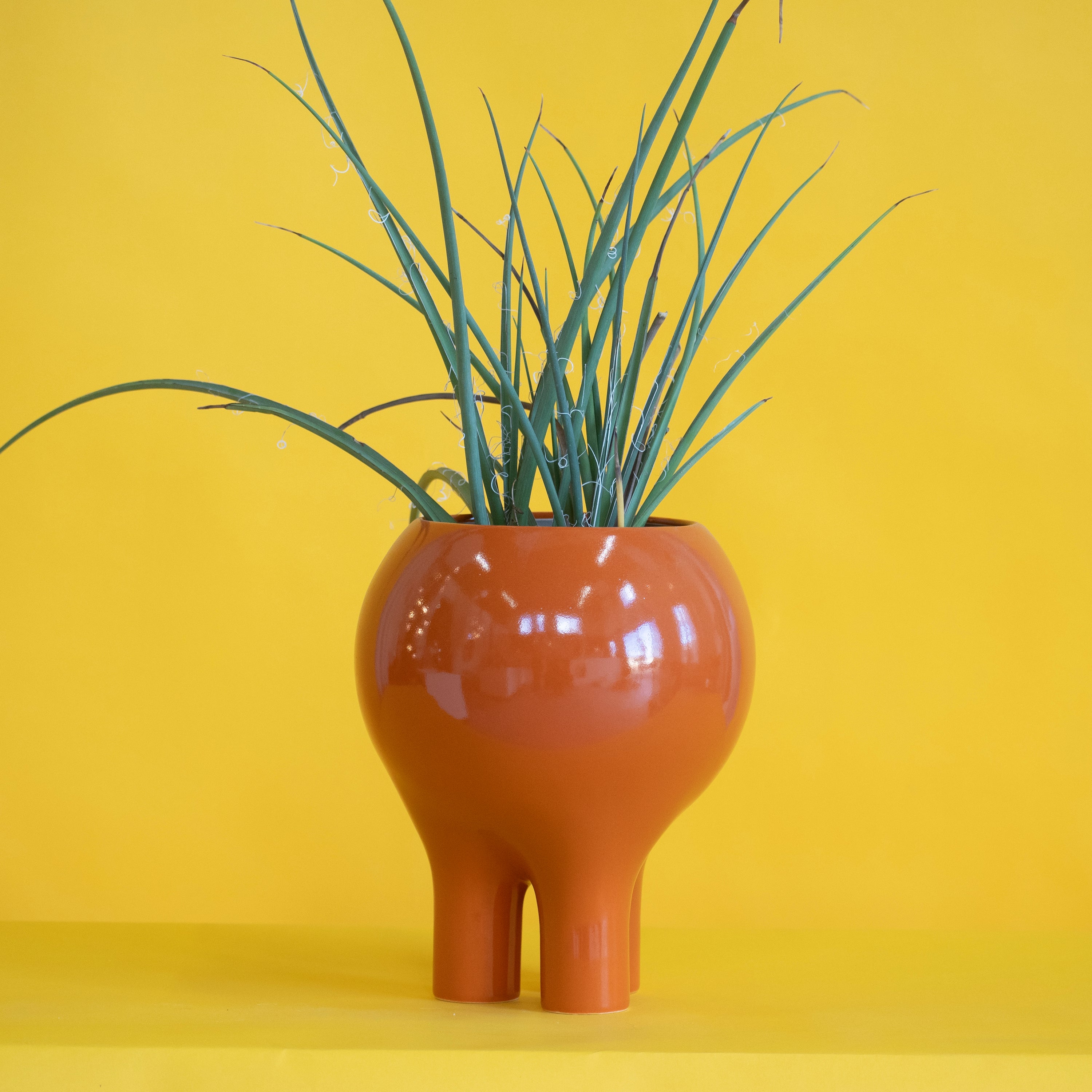 Gloss Burnt Orange 10" x 8" Planter