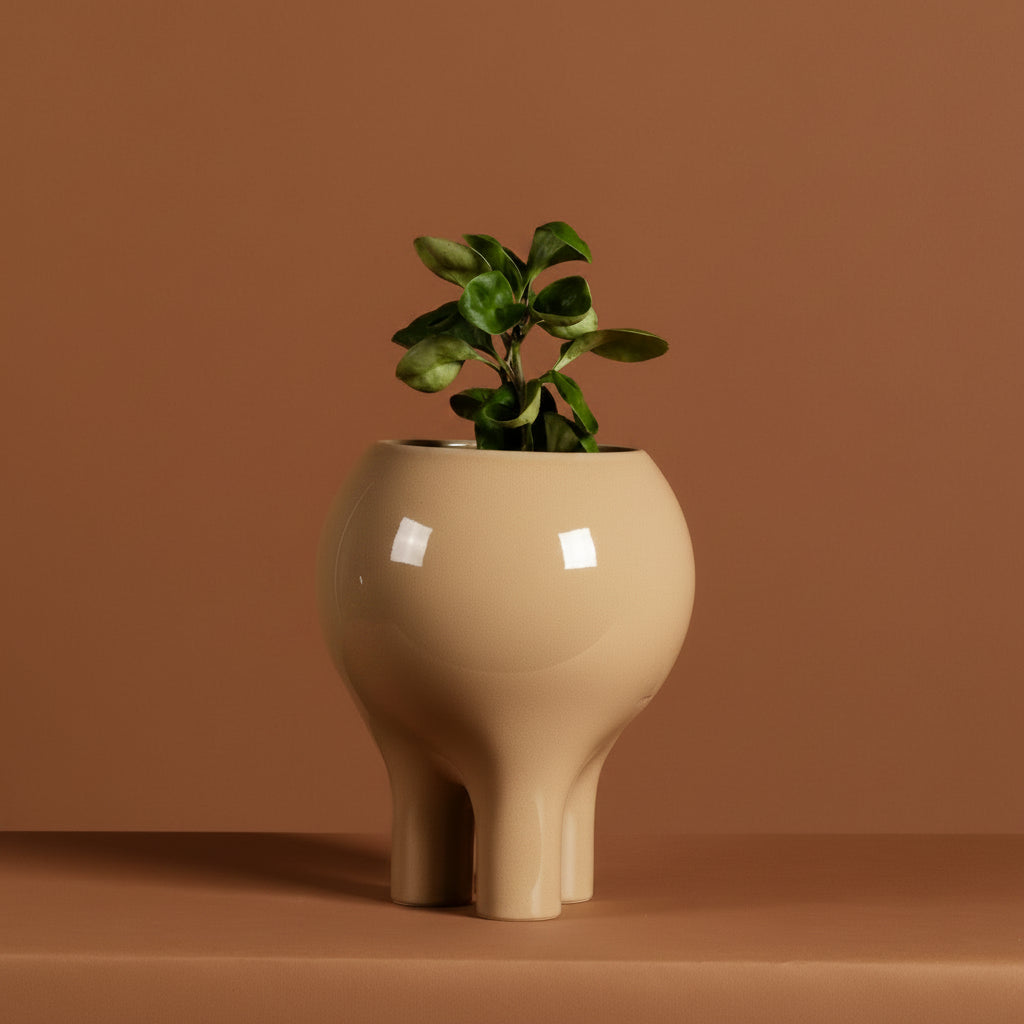 Gloss Beige 10" x 8" Planter