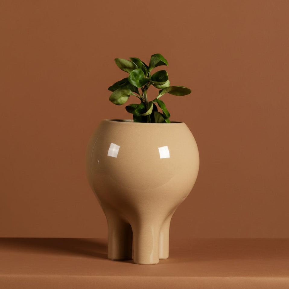 Gloss Beige 10" x 8" Planter