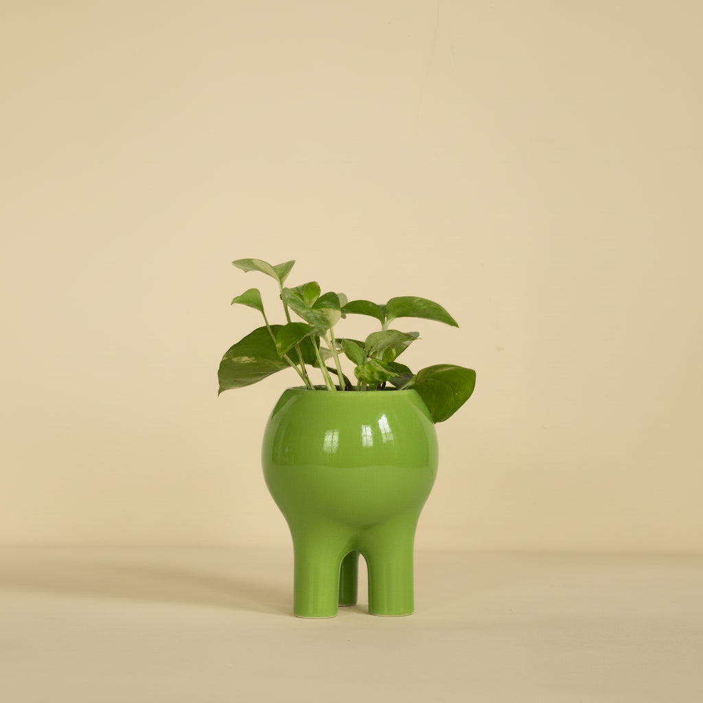 Gloss Chartreuse Planter 6" x 5"