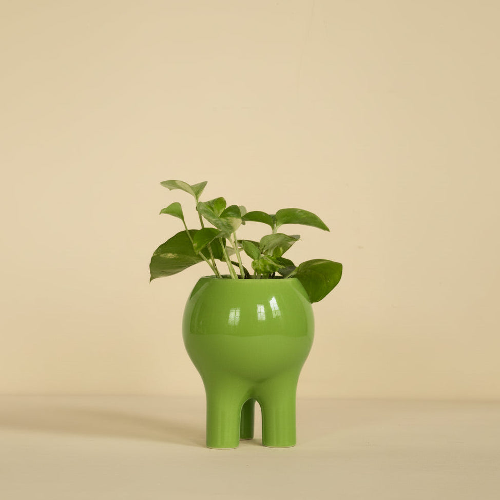 Gloss Chartreuse Planter 6" x 5"