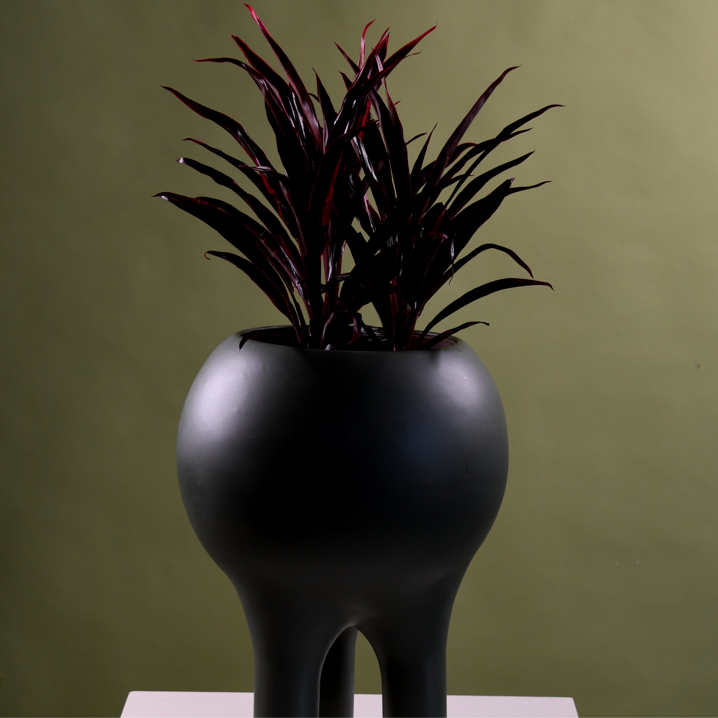 matt black plant pot Planter 16" x 22" – ENTLER