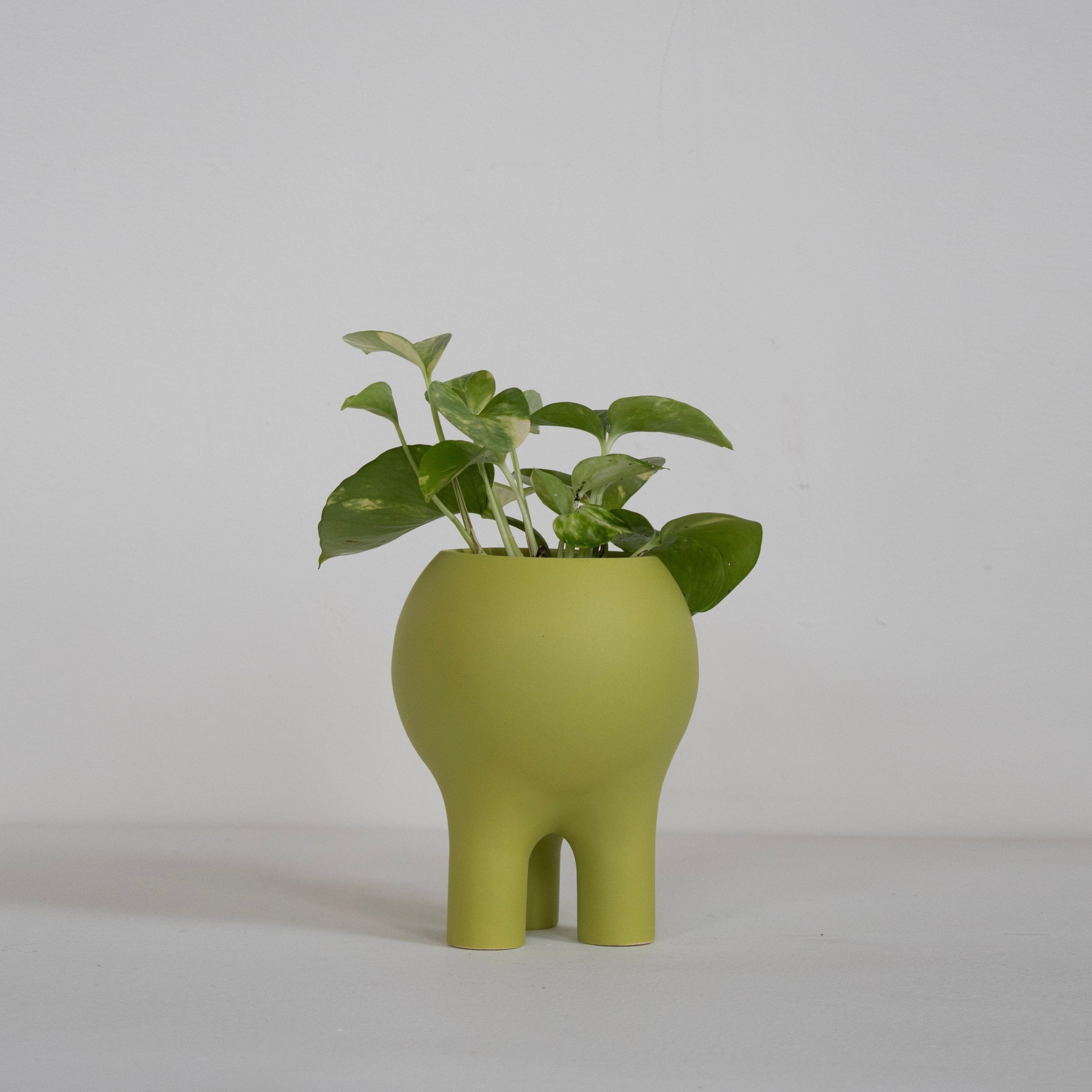 Matte Chartreuse Planter 6" x 5"