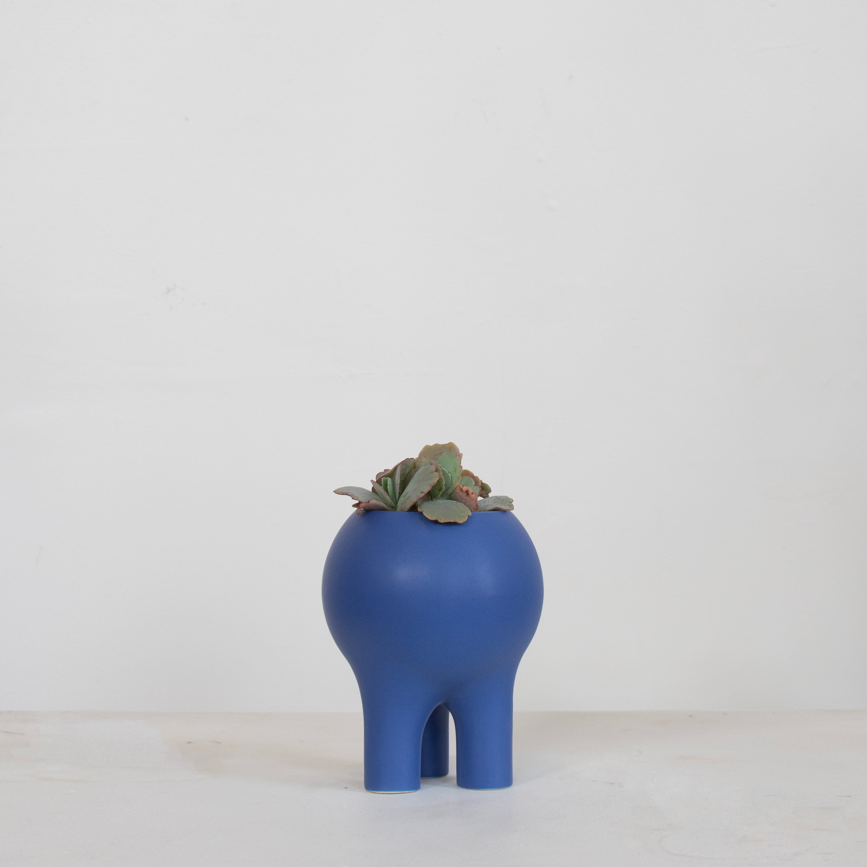 Matte Deep Blue Planter 6" x 5"