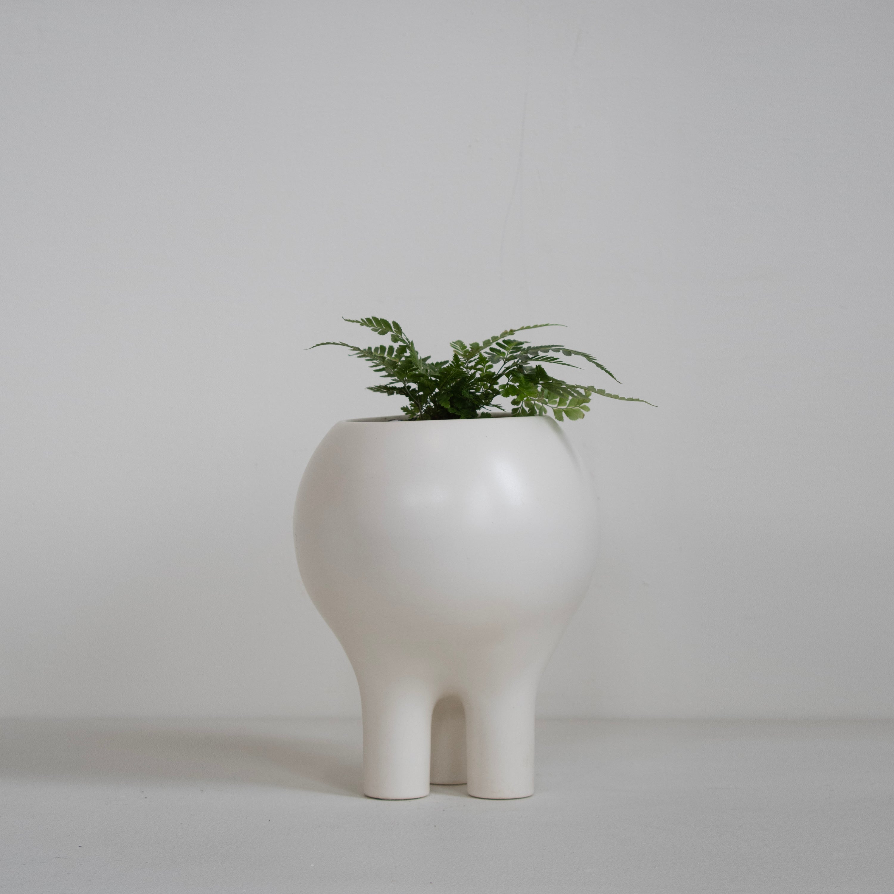 white plant pot with legs Matte White 10" x 8" Planter – ENTLER