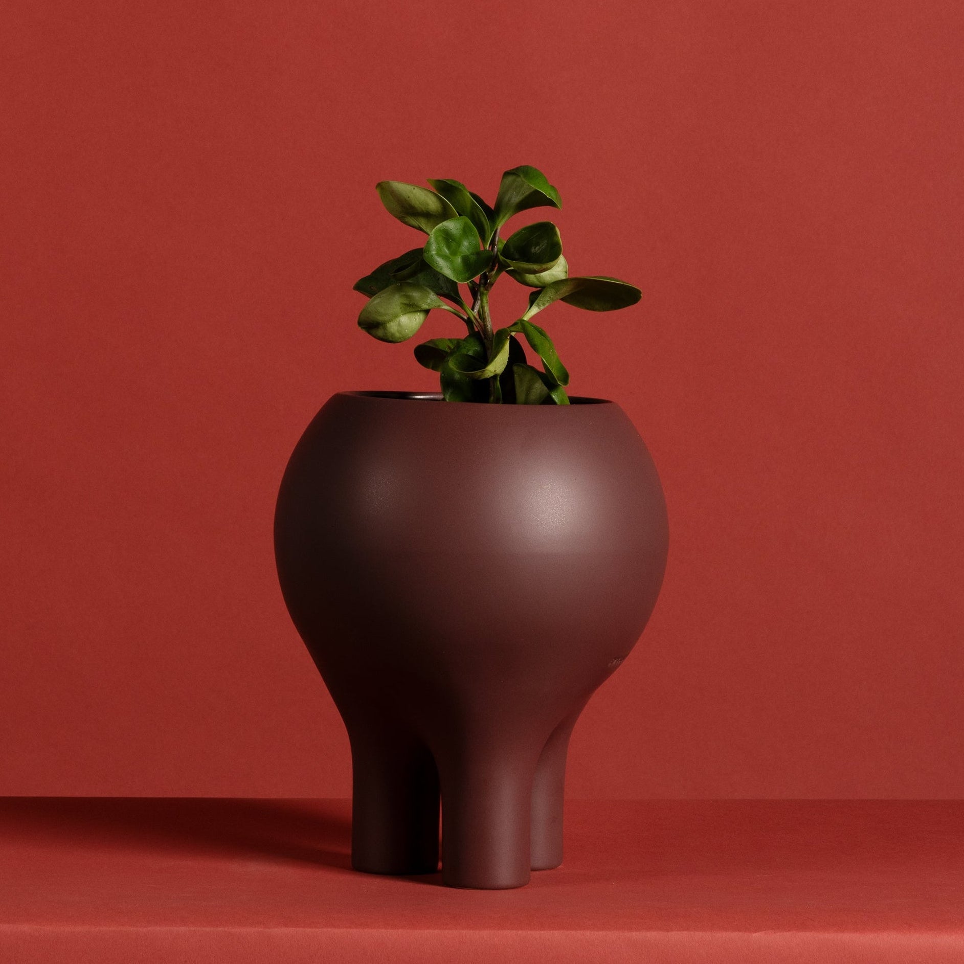 Matte Oxblood 10" x 8" Planter