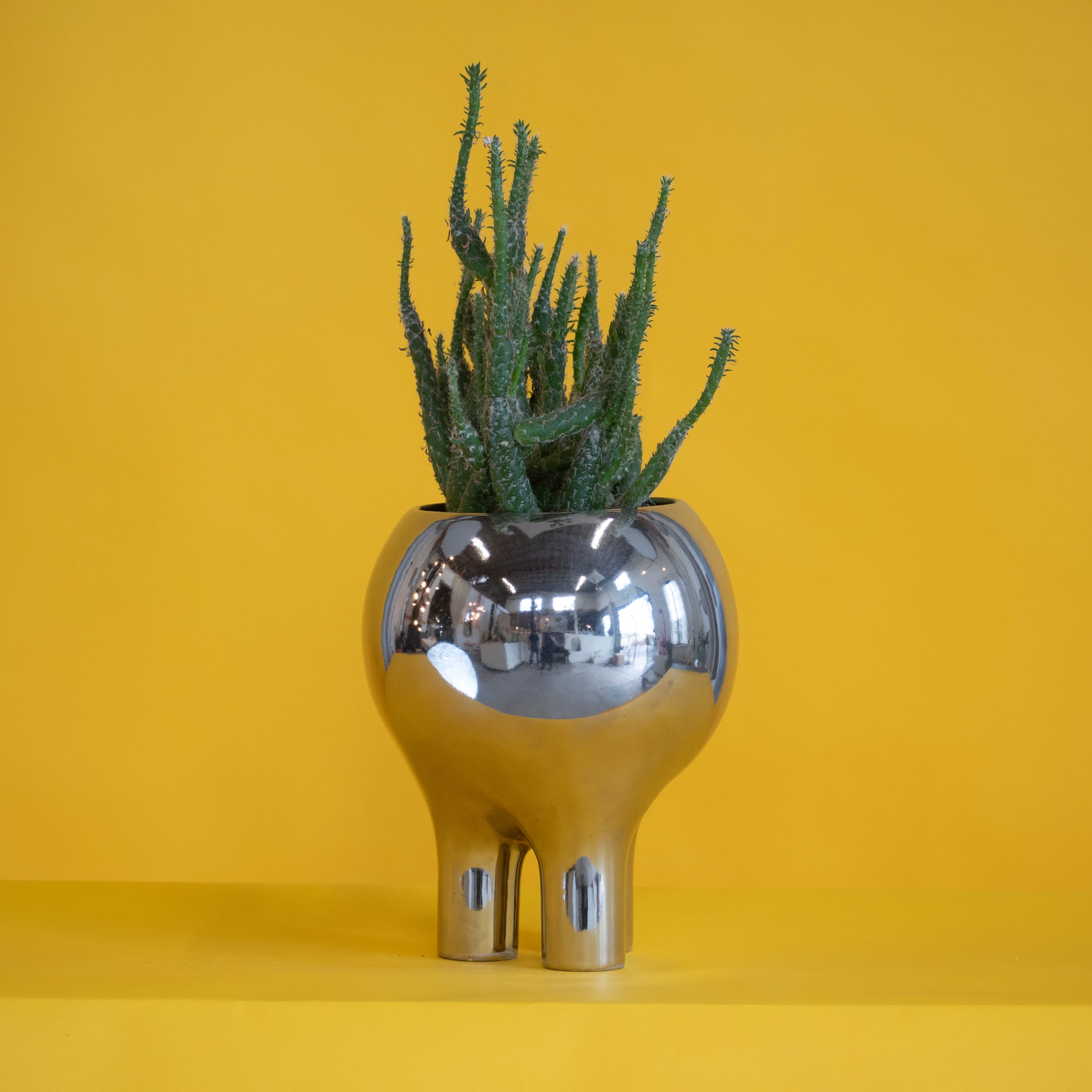 Palladium 10" x 8" Planter