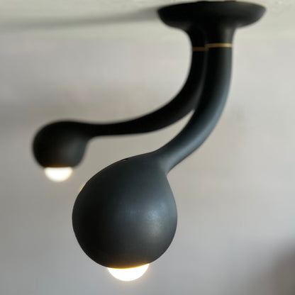 5634 Matte Black 2-GLOBE CEILING LAMP G